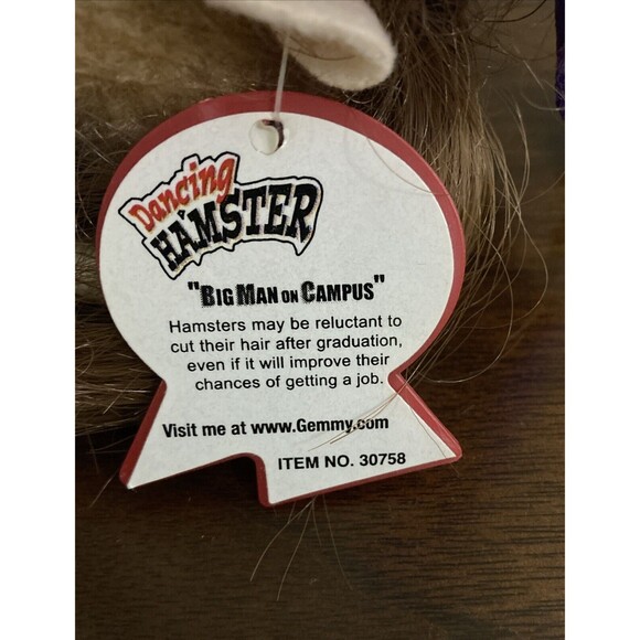 Lot of 2 Gemmy Dancing Hamsters Graduation Schools Out & Rock & Roll WORKS! - Picture 11 of 17